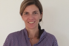  Καθηγήτρια  Έλιας Ψυλλάκη