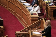   Η πρόταση της Φ. Γεννηματά για το ακαδημαϊκό  άσυλο