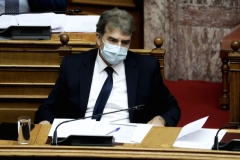 Μ. Χρυσοχοίδης: Το δίλημμα δεν είναι δημοκρατία ή αστυνομικό κράτος